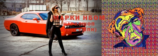сатива Богородск
