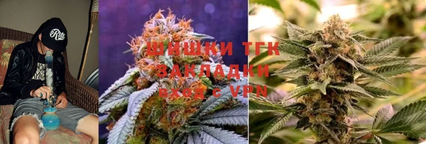 PSILOCYBIN Богородицк